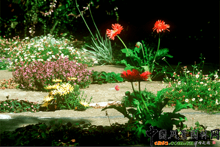 2009ASLA居住區(qū)設(shè)計(jì)類榮譽(yù)獎：裂縫花園