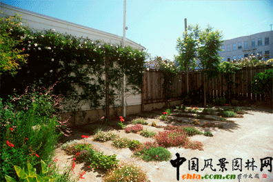 2009ASLA居住區(qū)設(shè)計(jì)類榮譽(yù)獎：裂縫花園