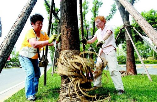 ������λ���˞�500��û��䡰�ɽ�������(zh��ng)�h���D��