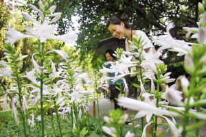 �n�r�£��R���ع��@��u�������^�ȵ������������~�R�޲ݵ������״����M�Ļ����_����ʢ�����������ο��v����