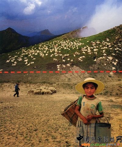 ��(n��i)�ɹŰ���������������(j��ng)ţ��Mɽ�ľ���