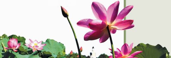 ����������ɫ����(�D)