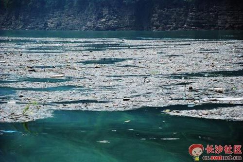 W(wng)؏ҽӱ(yn)Ⱦ(MD)