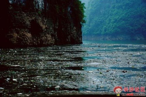 W(wng)؏ҽӱ(yn)Ⱦ(MD)