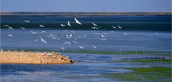 ���������������ĺӿڛ_�e�uȺ���m���v��1300����Ĝ�ɣ��׃���������������{���ؾG��ˮ����������