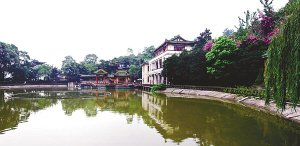 8µІ(dng)@־G(yu)(xing)Ŀu(png)x(dng)