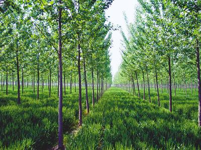 �L�����õ������S�a�֡� 