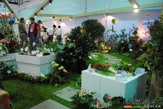 ����չλ--���ߌ��Ї�(����)������