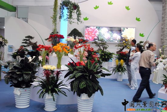 ���ߌû�����(����)�҃�(n��i)չ--���Cչ�^(q��)