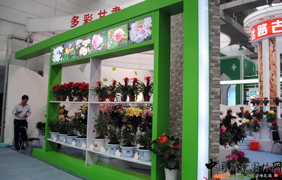 ���ߌû�����(����)�҃�(n��i)չ--���Cչ�^(q��)