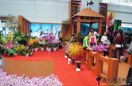 ���ߌû�����(����)�҃�չ--����չ�^