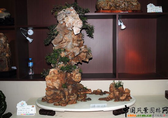 ���ߌû�����(hu��)(����)�҃�(n��i)չ--�ӱ�չ�^(q��)