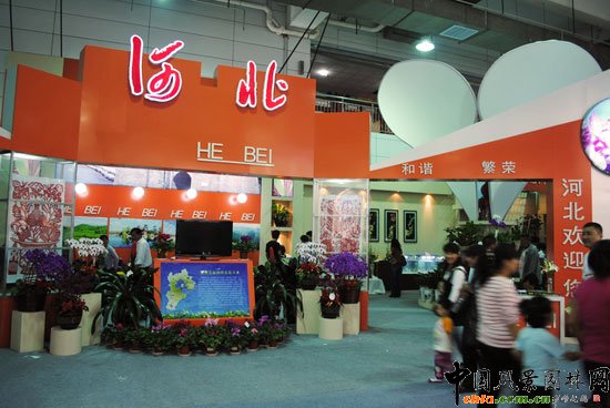 ���ߌû�����(hu��)(����)�҃�(n��i)չ--�ӱ�չ�^(q��)