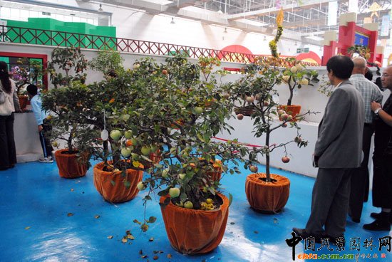 ���ߌû�����(����)�҃�չ--����չ�^