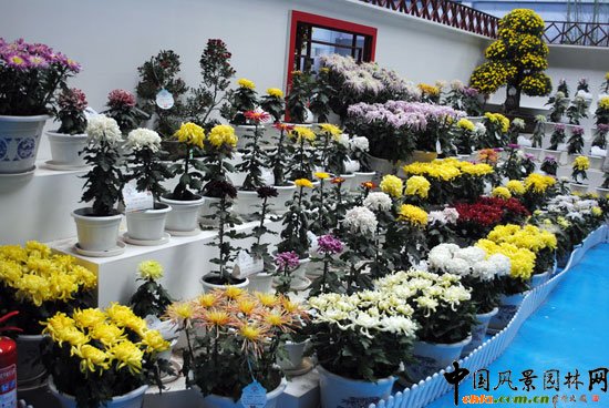 ���ߌû�����(����)�҃�չ--����չ�^