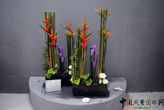 ���ߌû�����(����)�҃�չ--��ˇ�^