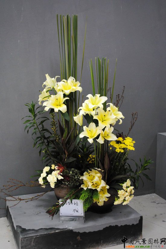 ���ߌû�����(hu��)(����)�҃�(n��i)չ--��ˇ�^(q��)