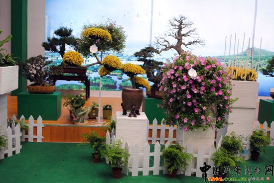 ���ߌû�����(����)�҃�չ--����չ�^