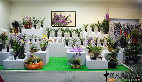 ���ߌû�����(����)�҃�չ--ɽ��չ�^