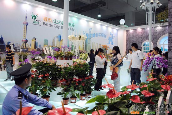 ���ߌû�����(����)�҃�չ--�Ϻ�չ�^