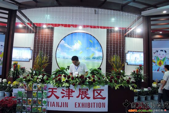 ���ߌû�����(����)�҃�չ--���չ�^