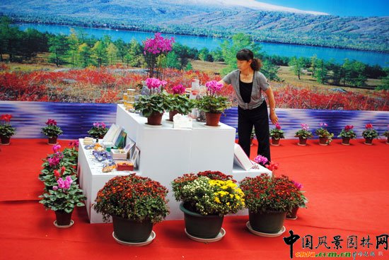 ���ߌû�����(����)�҃�չ--�½�չ�^