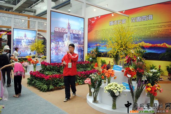 ���ߌû�����(����)�҃�չ--����չ�^