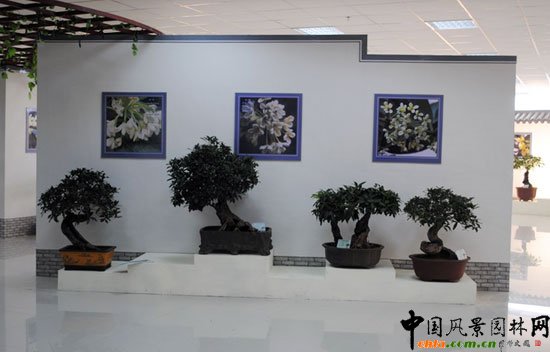 ���ߌû�����(hu��)(����)�҃�(n��i)չ--���辰չ