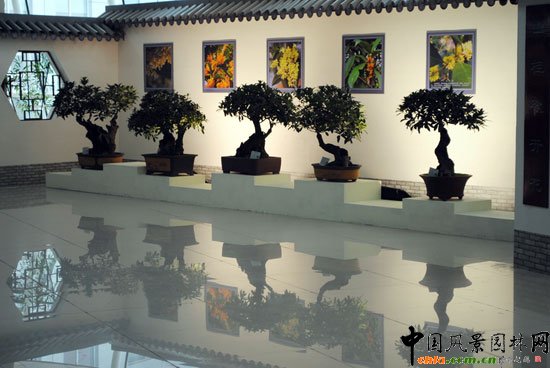 ���ߌû�����(hu��)(����)�҃�(n��i)չ--���辰չ