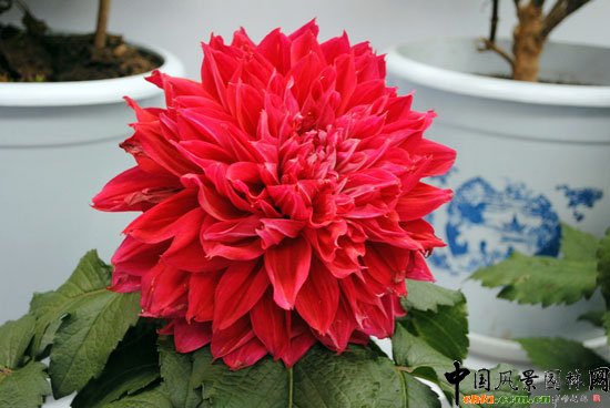 ���ߌû�����(����)�҃�չ--��Ʒ����