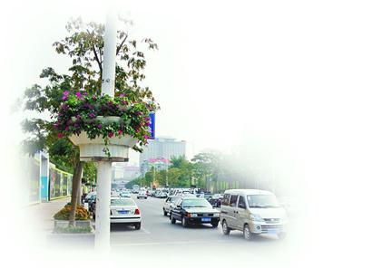 ����ʮ�¡����ӡ�Ȫ��