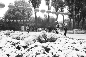 ����@7��ȥ��8�f�ο�