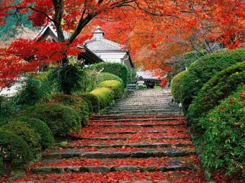 �c(di��n)���鿴��һ�(y��)