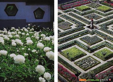 @ֵҎt෴Wވ@ҎģЇ@ǲҎġ