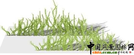 �ؑc��ƺ���Ľ�ͨ�м~���̵��澰�^�OӋ