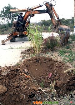 �������h�S�f�(zh��n)�����＾ֲ��(sh��)�߳�