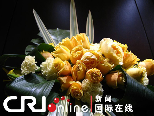 Z˹˹õ廨չ_(ki)Ļ(MD)