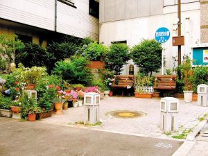 �����I(l��ng)�ԣ��W���O(sh��)Ӌ�Ī�������(�M�D)