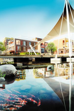 �����I(l��ng)�ԣ��W���O(sh��)Ӌ�Ī�������(�M�D)