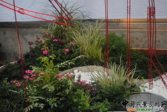 ̶֮R@С@OӋcI족չƷ