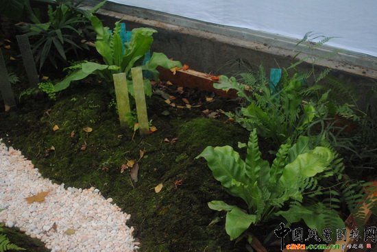 ̦Ȥ@@С@OӋcI족չƷ