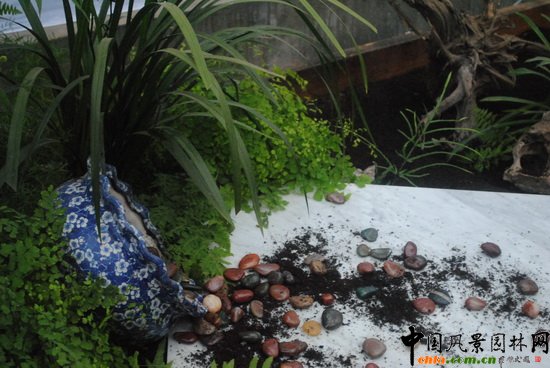 ī֮ꡪ@С@OӋcI족չƷ