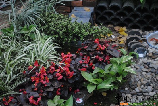 w@ӡ@С@OӋcI족չƷ