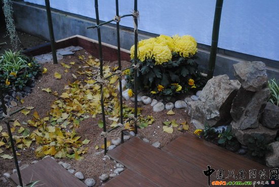 ˼ҡ@С@OӋcI족չƷ