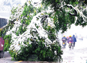 ��(sh��)ľȱ�첲���ȣ������l(shu��)֮�^(gu��)��