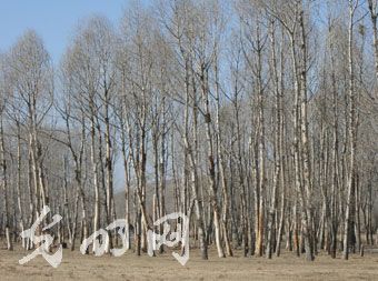 ���^�����F(xi��n)��ľ���������F(xi��n)�� ����ˮ�YԴ�T��