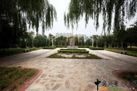 綠堤郊野公園實景照片
