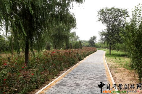 綠堤郊野公園實景照片