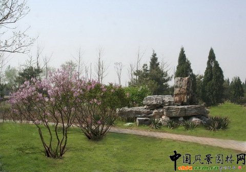 綠堤郊野公園實景照片