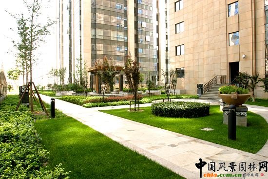 09年北京市精品工程之國(guó)瑞城A區(qū)屋頂綠化